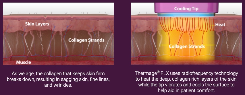 sc 2022-08-25 오전 12.49.13